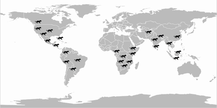 black panther habitat map